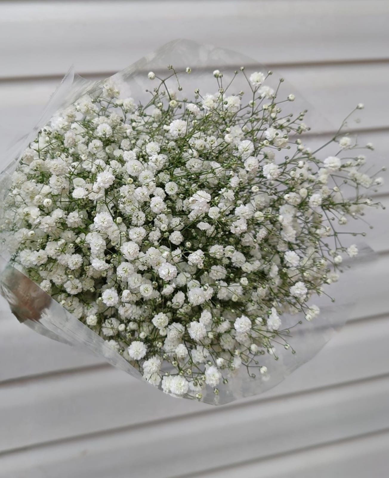Detalle de Baby Breath