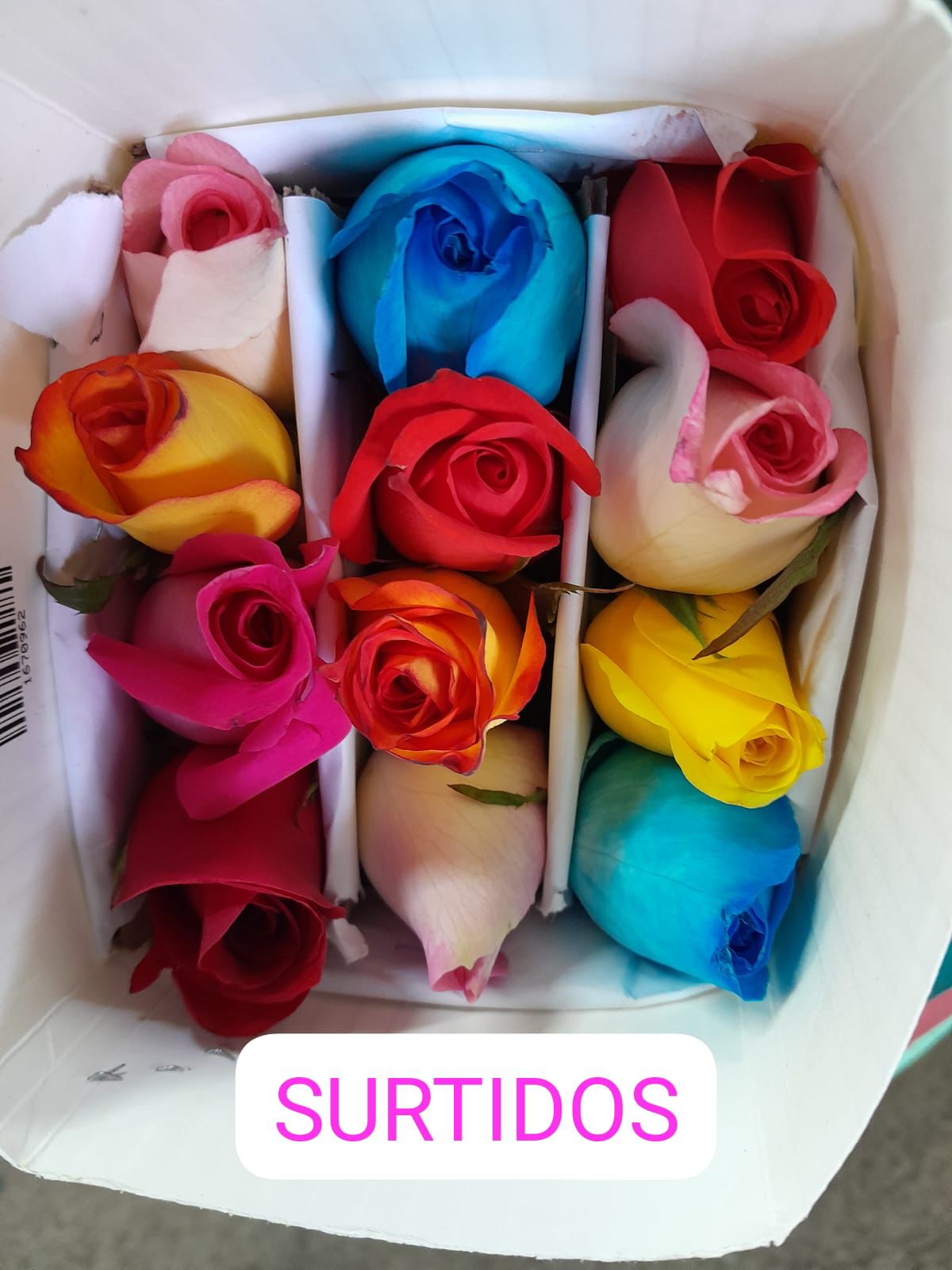 Rosas para arreglos comerciales