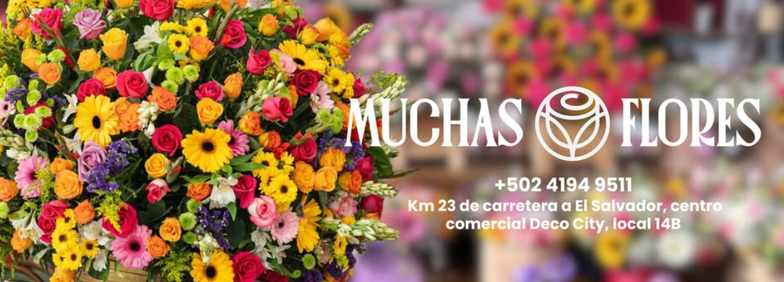 Muchas Flores, tienda en Deco City