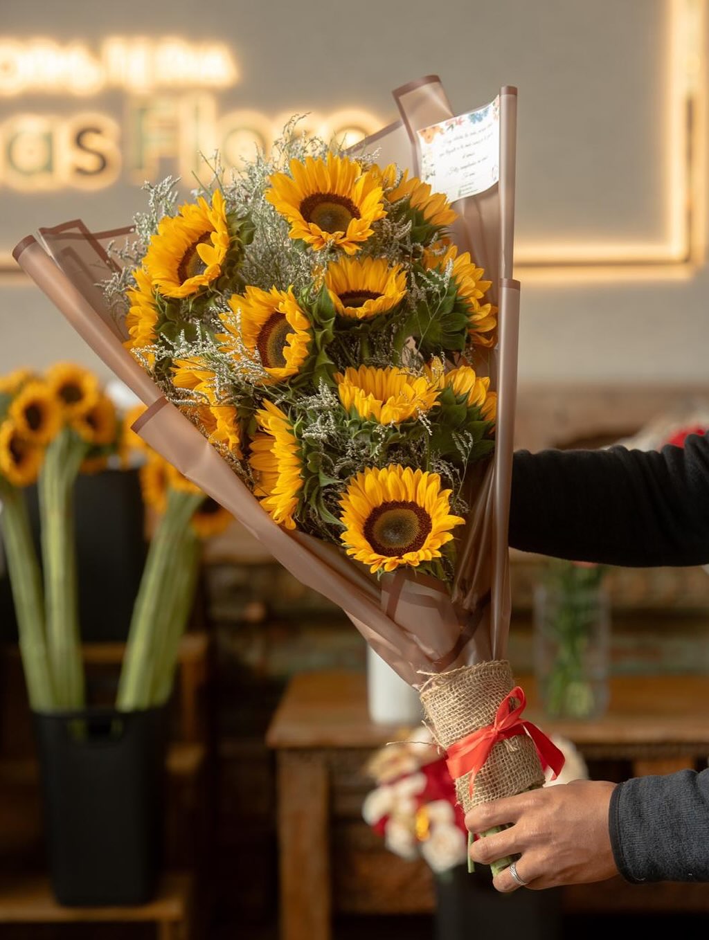 Girasoles frescos